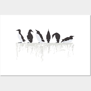Graphic Nature - Guillemot Ledge Posters and Art